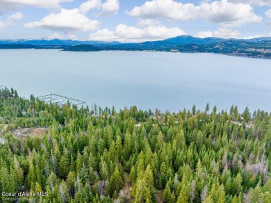 Nestled amidst the serene beauty of nature, this exceptional on Gozzer Ranch Golf and Lake Club in Idaho - for sale on GolfHomes.com, golf home, golf lot