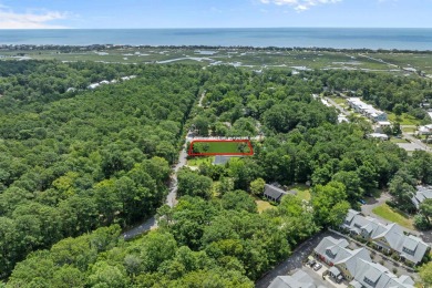 Own your own piece of heaven East of Rt 17 here in Pawleys on True Blue Plantation in South Carolina - for sale on GolfHomes.com, golf home, golf lot