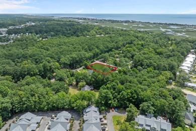 Own your own piece of heaven East of Rt 17 here in Pawleys on True Blue Plantation in South Carolina - for sale on GolfHomes.com, golf home, golf lot