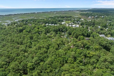 Own your own piece of heaven East of Rt 17 here in Pawleys on True Blue Plantation in South Carolina - for sale on GolfHomes.com, golf home, golf lot