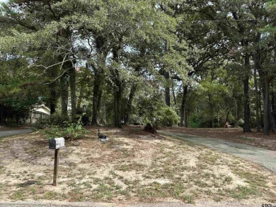 This would be a great lot to build your dream home!   There is on Hide-A-Way Lake Golf Course in Texas - for sale on GolfHomes.com, golf home, golf lot