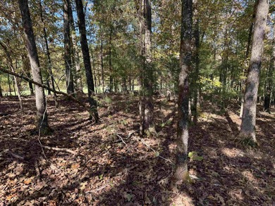 Build your dream home on the golf course in Diamante! This golf on Diamante Golf and Country Club in Arkansas - for sale on GolfHomes.com, golf home, golf lot