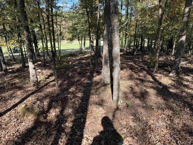 Build your dream home on the golf course in Diamante! This golf on Diamante Golf and Country Club in Arkansas - for sale on GolfHomes.com, golf home, golf lot