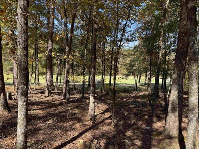 Build your dream home on the golf course in Diamante! This golf on Diamante Golf and Country Club in Arkansas - for sale on GolfHomes.com, golf home, golf lot