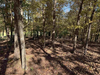 Build your dream home on the golf course in Diamante! This golf on Diamante Golf and Country Club in Arkansas - for sale on GolfHomes.com, golf home, golf lot