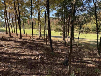 Build your dream home on the golf course in Diamante! This golf on Diamante Golf and Country Club in Arkansas - for sale on GolfHomes.com, golf home, golf lot