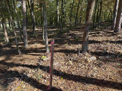 Build your dream home on the golf course in Diamante! This golf on Diamante Golf and Country Club in Arkansas - for sale on GolfHomes.com, golf home, golf lot