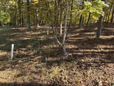 Build your dream home on the golf course in Diamante! This golf on Diamante Golf and Country Club in Arkansas - for sale on GolfHomes.com, golf home, golf lot