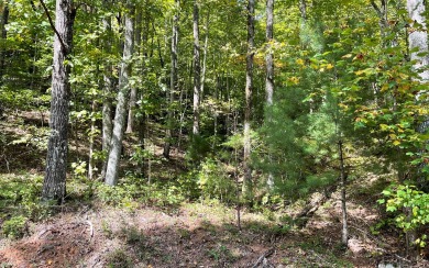 BEAUTIFULLY WOODED LOT IN THE MOUNTAINS OF NORTH CAROLINA!! This on Mountain Harbour Golf Club in North Carolina - for sale on GolfHomes.com, golf home, golf lot