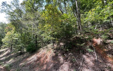 BEAUTIFULLY WOODED LOT IN THE MOUNTAINS OF NORTH CAROLINA!! This on Mountain Harbour Golf Club in North Carolina - for sale on GolfHomes.com, golf home, golf lot