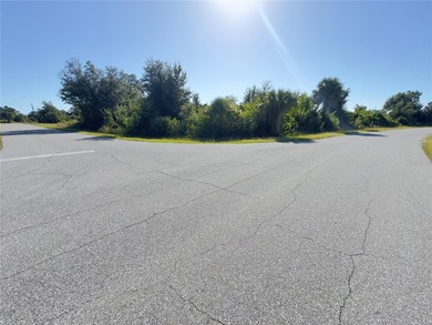 Large oversized CORNER LOT with NO adjacent neighbors in the on Duffys Golf Center in Florida - for sale on GolfHomes.com, golf home, golf lot