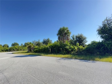 Large oversized CORNER LOT with NO adjacent neighbors in the on Duffys Golf Center in Florida - for sale on GolfHomes.com, golf home, golf lot