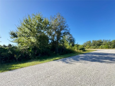 Large oversized CORNER LOT with NO adjacent neighbors in the on Duffys Golf Center in Florida - for sale on GolfHomes.com, golf home, golf lot