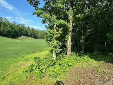 Nestle you dream home into this wonderful golf front lot on on Magellan Golf Course in Arkansas - for sale on GolfHomes.com, golf home, golf lot
