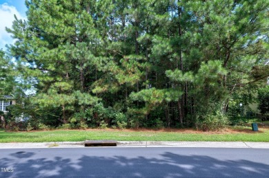 Build your dream home on this rare 0.50-acre golf course lot in on The Crossings at Grove Park in North Carolina - for sale on GolfHomes.com, golf home, golf lot