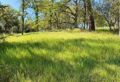 Soak Up the Views of Lake Tulloch from the upper portion of this on The Club at Copper Valley Golf Course in California - for sale on GolfHomes.com, golf home, golf lot