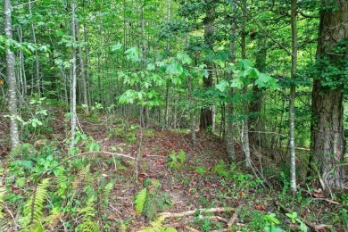 This is a rare and extremely limited opportunity--only one lot on Old Toccoa Farm Golf Club in Georgia - for sale on GolfHomes.com, golf home, golf lot