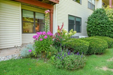 Discover the perfect blend of comfort and convenience in this on The Moors Golf Club in Michigan - for sale on GolfHomes.com, golf home, golf lot