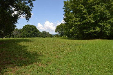 Come discover the potential of this ~0.75-acre corner lot on Hidden Falls At Mt. Airy Golf in Tennessee - for sale on GolfHomes.com, golf home, golf lot