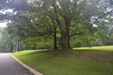 Come discover the potential of this ~0.75-acre corner lot on Hidden Falls At Mt. Airy Golf in Tennessee - for sale on GolfHomes.com, golf home, golf lot