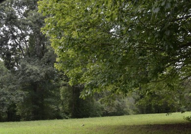 Come discover the potential of this ~0.75-acre corner lot on Hidden Falls At Mt. Airy Golf in Tennessee - for sale on GolfHomes.com, golf home, golf lot