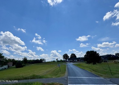 Whether you're looking for a beautiful view of the mountains or on Tellico Village -The Links At Kahite Golf Course in Tennessee - for sale on GolfHomes.com, golf home, golf lot