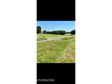 Whether you're looking for a beautiful view of the mountains or on Tellico Village -The Links At Kahite Golf Course in Tennessee - for sale on GolfHomes.com, golf home, golf lot