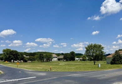 Whether you're looking for a beautiful view of the mountains or on Tellico Village -The Links At Kahite Golf Course in Tennessee - for sale on GolfHomes.com, golf home, golf lot
