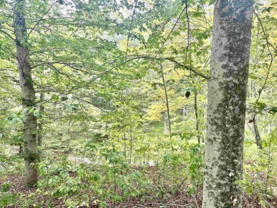 Opportunities to own and live within the tailored Pete Dye Golf on  in West Virginia - for sale on GolfHomes.com, golf home, golf lot