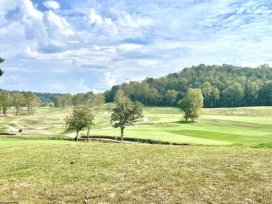 Opportunities to own and live within the tailored Pete Dye Golf on Pete Dye Golf Club in West Virginia - for sale on GolfHomes.com, golf home, golf lot