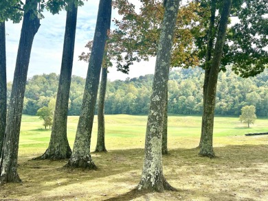 Opportunities to own and live within the tailored Pete Dye Golf on Pete Dye Golf Club in West Virginia - for sale on GolfHomes.com, golf home, golf lot