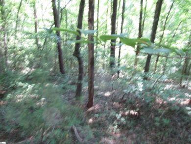 Great building lot in a golf course neighborhood with community on The Rock At Jocassee in South Carolina - for sale on GolfHomes.com, golf home, golf lot