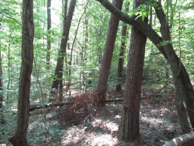 Great building lot in a golf course neighborhood with community on The Rock At Jocassee in South Carolina - for sale on GolfHomes.com, golf home, golf lot