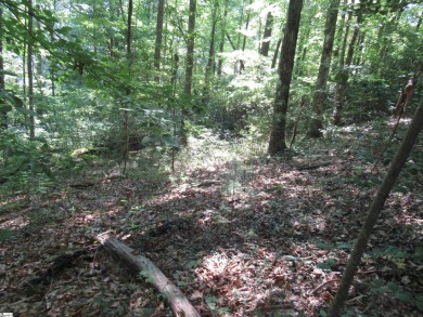 Great building lot in a golf course neighborhood with community on The Rock At Jocassee in South Carolina - for sale on GolfHomes.com, golf home, golf lot