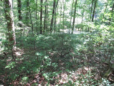 Great building lot in a golf course neighborhood with community on The Rock At Jocassee in South Carolina - for sale on GolfHomes.com, golf home, golf lot