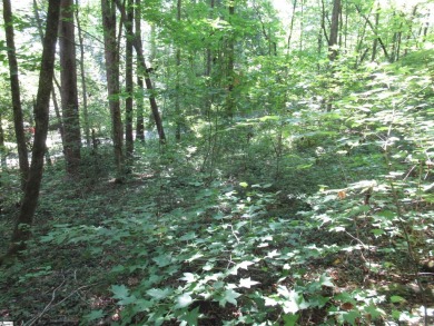 Great building lot in a golf course neighborhood with community on The Rock At Jocassee in South Carolina - for sale on GolfHomes.com, golf home, golf lot