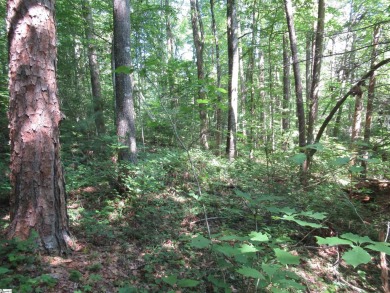 Great building lot in a golf course neighborhood with community on The Rock At Jocassee in South Carolina - for sale on GolfHomes.com, golf home, golf lot