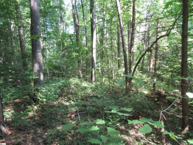 Great building lot in a golf course neighborhood with community on The Rock At Jocassee in South Carolina - for sale on GolfHomes.com, golf home, golf lot