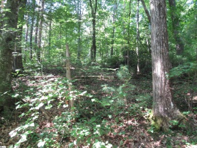 Great building lot in a golf course neighborhood with community on The Rock At Jocassee in South Carolina - for sale on GolfHomes.com, golf home, golf lot