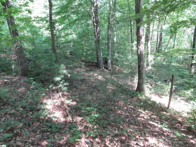 Great building lot in a golf course neighborhood with community on The Rock At Jocassee in South Carolina - for sale on GolfHomes.com, golf home, golf lot