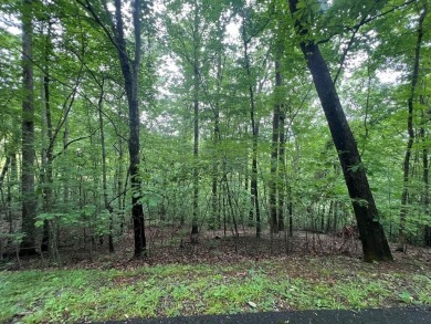 Discover the potential of this beautiful lot in the prestigious on Mountain Harbour Golf Club in North Carolina - for sale on GolfHomes.com, golf home, golf lot