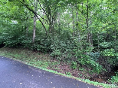 Discover the potential of this beautiful lot in the prestigious on Mountain Harbour Golf Club in North Carolina - for sale on GolfHomes.com, golf home, golf lot