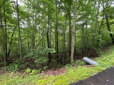 Discover the potential of this beautiful lot in the prestigious on Mountain Harbour Golf Club in North Carolina - for sale on GolfHomes.com, golf home, golf lot