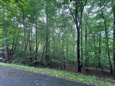 Discover the potential of this beautiful lot in the prestigious on Mountain Harbour Golf Club in North Carolina - for sale on GolfHomes.com, golf home, golf lot