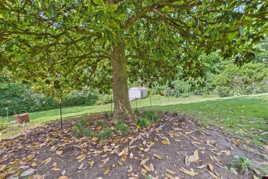 Discover this beautifully remodeled home just one minute from on Big Creek Golf and Country Club in Arkansas - for sale on GolfHomes.com, golf home, golf lot