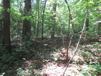 Great building lot in a golf course neighborhood with community on The Rock At Jocassee in South Carolina - for sale on GolfHomes.com, golf home, golf lot