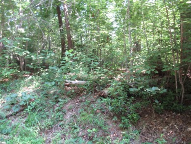 Great building lot in a golf course neighborhood with community on The Rock At Jocassee in South Carolina - for sale on GolfHomes.com, golf home, golf lot
