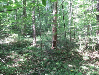 Great building lot in a golf course neighborhood with community on The Rock At Jocassee in South Carolina - for sale on GolfHomes.com, golf home, golf lot