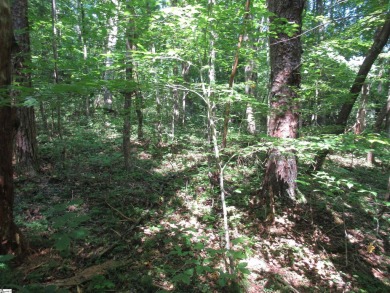 Great building lot in a golf course neighborhood with community on The Rock At Jocassee in South Carolina - for sale on GolfHomes.com, golf home, golf lot