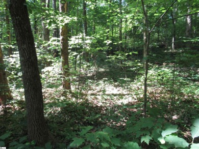 Great building lot in a golf course neighborhood with community on The Rock At Jocassee in South Carolina - for sale on GolfHomes.com, golf home, golf lot